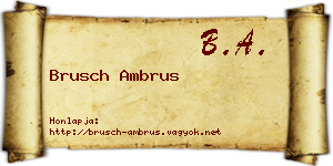 Brusch Ambrus névjegykártya